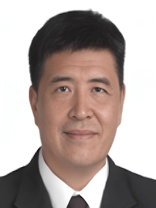Professor Lim Swee Han